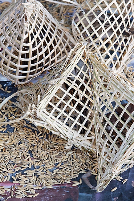 Chiang Rai-Marche-031